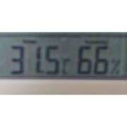 ヒメ日記 2025/06/16 23:16 投稿 川口めぐ 五十路マダム　和歌山店