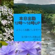 ヒメ日記 2025/06/24 06:32 投稿 川口めぐ 五十路マダム　和歌山店