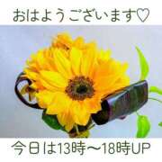 ヒメ日記 2025/07/05 06:20 投稿 川口めぐ 五十路マダム　和歌山店