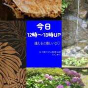 ヒメ日記 2025/07/08 06:44 投稿 川口めぐ 五十路マダム　和歌山店