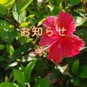 ヒメ日記 2025/07/08 09:26 投稿 川口めぐ 五十路マダム　和歌山店