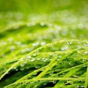 ヒメ日記 2025/07/17 12:02 投稿 川口めぐ 五十路マダム　和歌山店