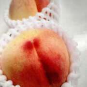 ヒメ日記 2025/07/23 07:24 投稿 川口めぐ 五十路マダム　和歌山店