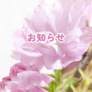 ヒメ日記 2025/07/23 11:26 投稿 川口めぐ 五十路マダム　和歌山店