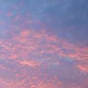 ヒメ日記 2025/08/07 21:48 投稿 川口めぐ 五十路マダム　和歌山店