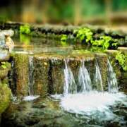 ヒメ日記 2025/08/10 22:32 投稿 川口めぐ 五十路マダム　和歌山店