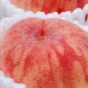 ヒメ日記 2025/08/16 23:52 投稿 川口めぐ 五十路マダム　和歌山店