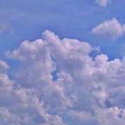 ヒメ日記 2025/08/22 23:24 投稿 川口めぐ 五十路マダム　和歌山店