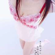 ヒメ日記 2025/08/27 11:42 投稿 川口めぐ 五十路マダム　和歌山店