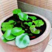 ヒメ日記 2025/09/13 20:28 投稿 川口めぐ 五十路マダム　和歌山店