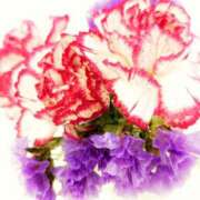 ヒメ日記 2025/09/19 20:22 投稿 川口めぐ 五十路マダム　和歌山店