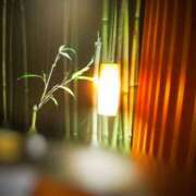 ヒメ日記 2025/09/30 22:00 投稿 川口めぐ 五十路マダム　和歌山店