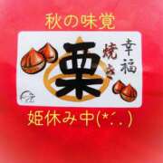 ヒメ日記 2025/10/05 09:00 投稿 川口めぐ 五十路マダム　和歌山店