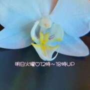 ヒメ日記 2025/10/13 20:24 投稿 川口めぐ 五十路マダム　和歌山店