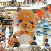 ヒメ日記 2025/11/19 04:24 投稿 川口めぐ 五十路マダム　和歌山店