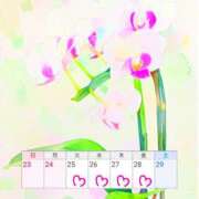 ヒメ日記 2025/11/21 20:30 投稿 川口めぐ 五十路マダム　和歌山店