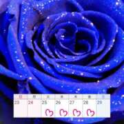 ヒメ日記 2025/11/23 12:02 投稿 川口めぐ 五十路マダム　和歌山店