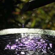 ヒメ日記 2025/11/26 08:38 投稿 川口めぐ 五十路マダム　和歌山店