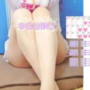 ヒメ日記 2026/01/14 08:02 投稿 川口めぐ 五十路マダム　和歌山店