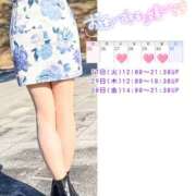 ヒメ日記 2026/01/27 10:52 投稿 川口めぐ 五十路マダム　和歌山店