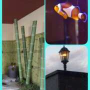 ヒメ日記 2026/02/09 21:16 投稿 川口めぐ 五十路マダム　和歌山店