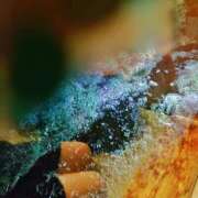 ヒメ日記 2026/02/23 19:56 投稿 川口めぐ 五十路マダム　和歌山店