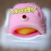 ヒメ日記 2026/02/25 10:56 投稿 川口めぐ 五十路マダム　和歌山店