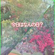 ヒメ日記 2026/02/28 07:00 投稿 川口めぐ 五十路マダム　和歌山店