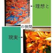 ヒメ日記 2026/03/03 06:28 投稿 川口めぐ 五十路マダム　和歌山店