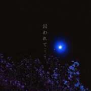 ヒメ日記 2026/04/01 21:48 投稿 川口めぐ 五十路マダム　和歌山店