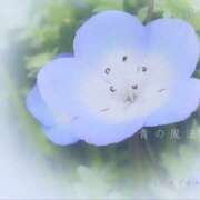 ヒメ日記 2026/04/02 21:46 投稿 川口めぐ 五十路マダム　和歌山店