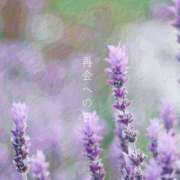 ヒメ日記 2026/04/04 21:44 投稿 川口めぐ 五十路マダム　和歌山店