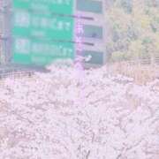 ヒメ日記 2026/04/06 00:36 投稿 川口めぐ 五十路マダム　和歌山店