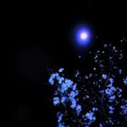 ヒメ日記 2026/04/08 19:00 投稿 川口めぐ 五十路マダム　和歌山店