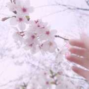 ヒメ日記 2026/04/09 11:18 投稿 川口めぐ 五十路マダム　和歌山店