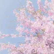 ヒメ日記 2026/04/14 10:48 投稿 川口めぐ 五十路マダム　和歌山店