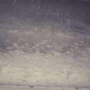 ヒメ日記 2026/04/17 18:10 投稿 川口めぐ 五十路マダム　和歌山店