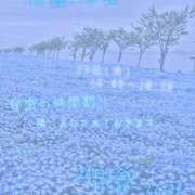 ヒメ日記 2026/04/22 12:06 投稿 川口めぐ 五十路マダム　和歌山店