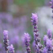 ヒメ日記 2026/04/24 22:00 投稿 川口めぐ 五十路マダム　和歌山店