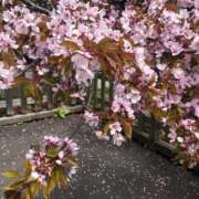 のぞみ 久しぶりに🙂 Lesson.1 札幌校