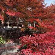 ヒメ日記 2024/12/15 20:30 投稿 南 セクシーキャット 小田原店