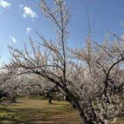 ヒメ日記 2025/03/03 08:06 投稿 南 セクシーキャット 小田原店