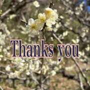 ヒメ日記 2025/03/09 18:44 投稿 南 セクシーキャット 小田原店