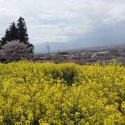 ヒメ日記 2025/04/14 08:09 投稿 南 セクシーキャット 小田原店