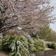 ヒメ日記 2025/04/14 17:09 投稿 南 セクシーキャット 小田原店