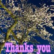 ヒメ日記 2025/04/14 17:10 投稿 南 セクシーキャット 小田原店