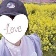 ヒメ日記 2025/04/15 08:23 投稿 南 セクシーキャット 小田原店