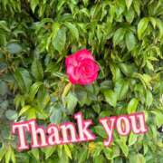 ヒメ日記 2025/05/24 08:51 投稿 南 セクシーキャット 小田原店