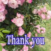 ヒメ日記 2025/05/31 20:45 投稿 南 セクシーキャット 小田原店