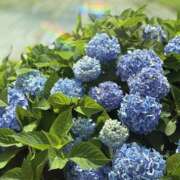 ヒメ日記 2025/06/10 11:49 投稿 南 セクシーキャット 小田原店